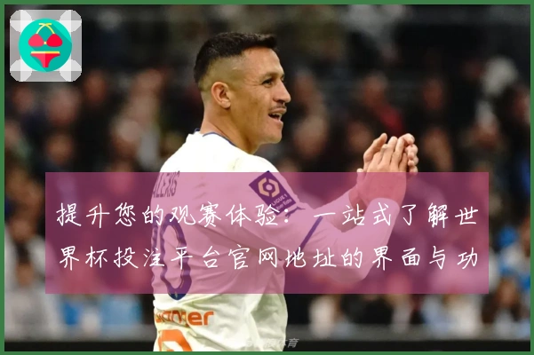 提升您的观赛体验：一站式了解世界杯投注平台官网地址的界面与功能