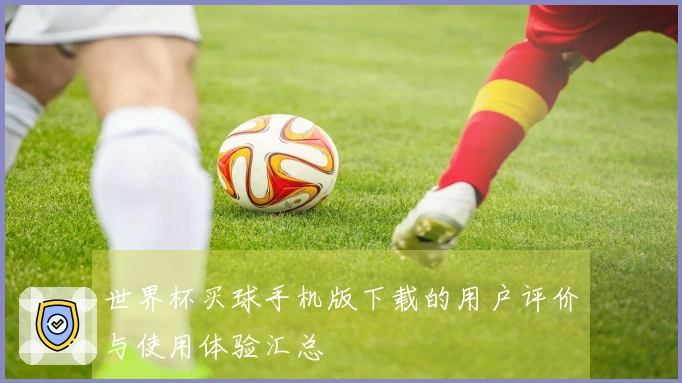 世界杯买球手机版下载的用户评价与使用体验汇总