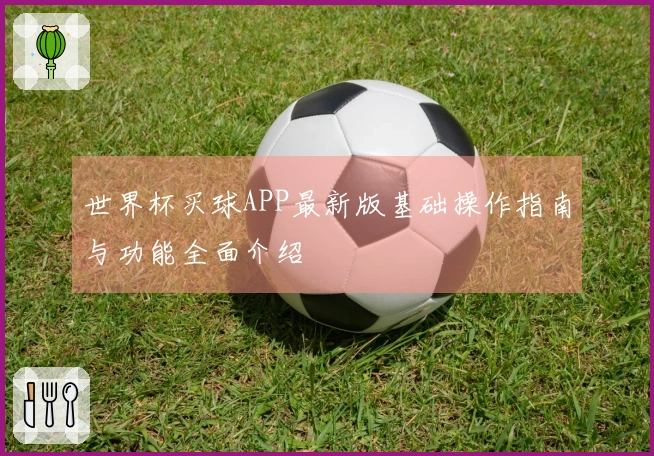 世界杯买球APP最新版基础操作指南与功能全面介绍