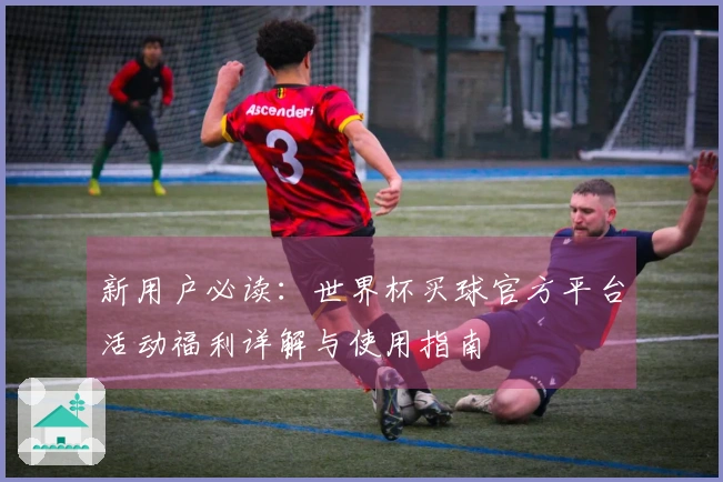 新用户必读：世界杯买球官方平台活动福利详解与使用指南