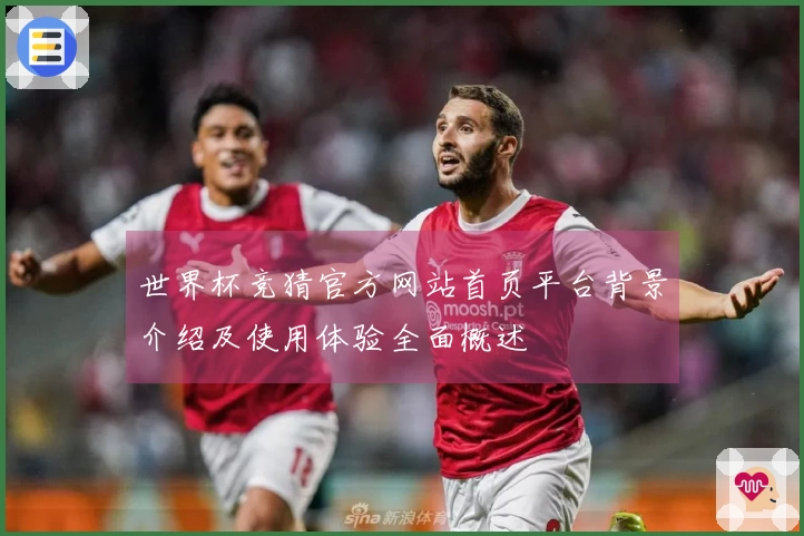 世界杯竞猜官方网站首页平台背景介绍及使用体验全面概述