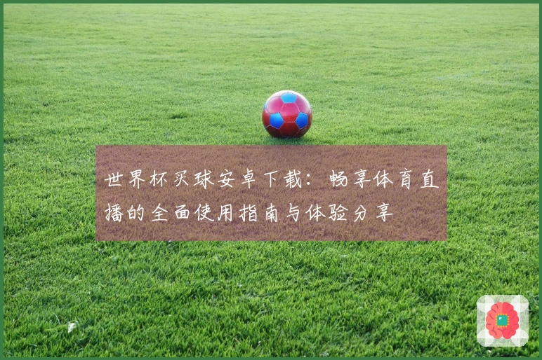 世界杯买球安卓下载：畅享体育直播的全面使用指南与体验分享
