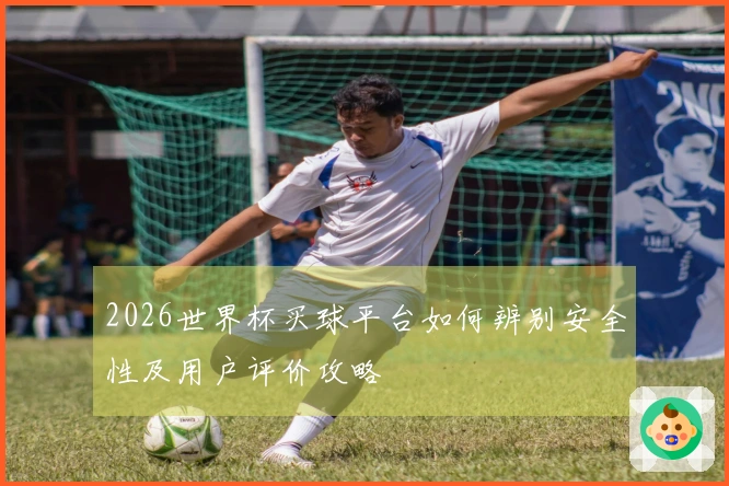2026世界杯买球平台如何辨别安全性及用户评价攻略