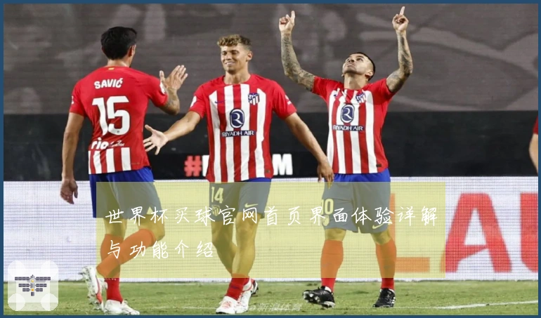 世界杯买球官网首页界面体验详解与功能介绍