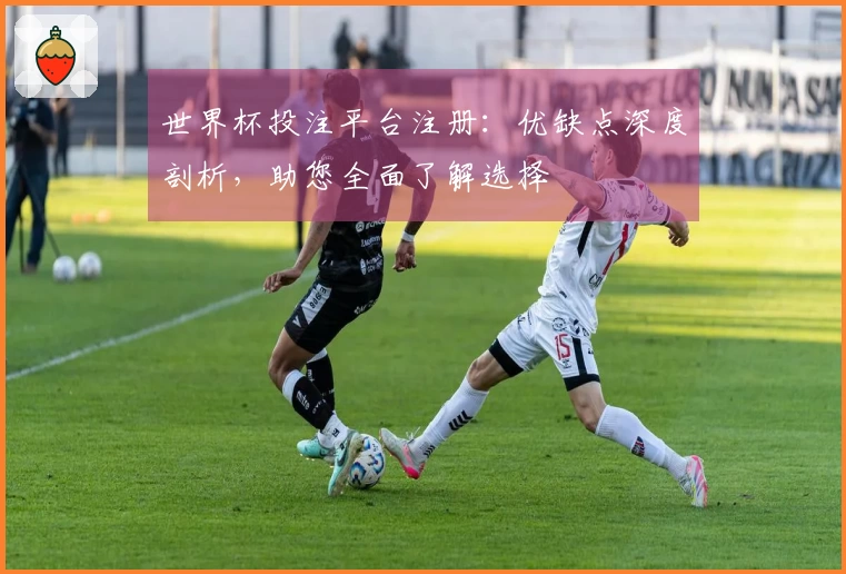 世界杯投注平台注册：优缺点深度剖析，助您全面了解选择