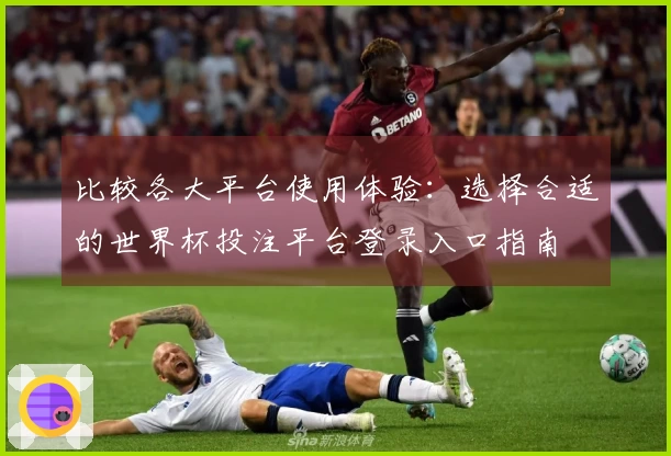 比较各大平台使用体验：选择合适的世界杯投注平台登录入口指南