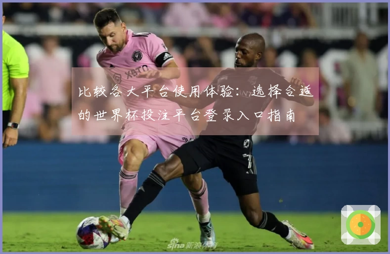 比较各大平台使用体验：选择合适的世界杯投注平台登录入口指南
