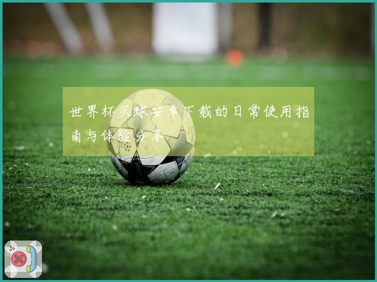 世界杯买球安卓下载的日常使用指南与体验分享