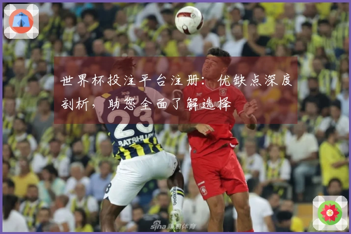 世界杯投注平台注册：优缺点深度剖析，助您全面了解选择