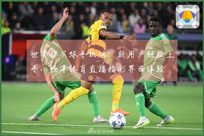 世界杯买球手机端：新用户轻松上手，畅享体育直播精彩界面体验