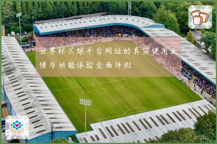 世界杯买球平台网址的真实使用反馈与功能体验全面评测