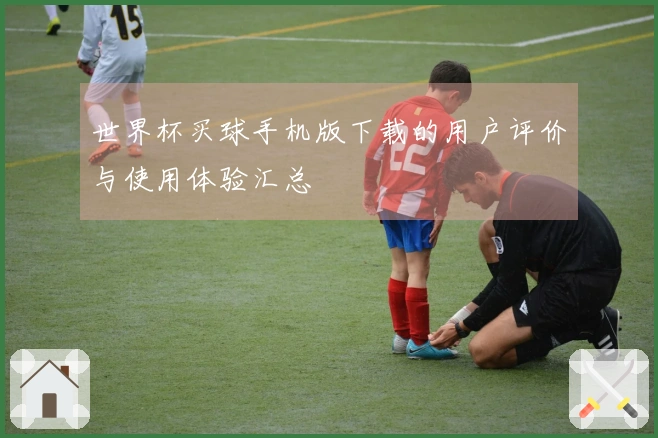 世界杯买球手机版下载的用户评价与使用体验汇总